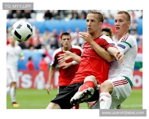 世界杯比赛规则详细解析,全面介绍比赛流程与裁判判罚标准